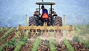 World’s Agriculture Value Chain to Converge in Abu Dhabi, 9-11 March