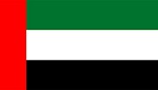UAE President condoles death of Saudi king, announces three days of mourning