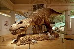 Visit London’s Dinosaur Exhibition at Sharjah Children’s Reading Festival 