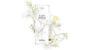 Kinetics launches its latest super moisturizing hand cream with SPF – 8 