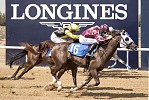The Sharjah Racing Season presented by Longines ends with the  prestigious HH Sharjah Ruler’s Cup