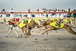 Second Saluki Championship event set to start