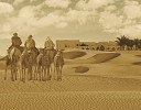 احتفل بقضاء إجازة عيد الأضحى المبارك  في فندق تلال ليوا