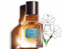 ذي بودي شوب تطلق مجموعة عطور “Elixirs of Nature” بالإمارات العربية المتحدة 