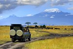 Tanzania mainland and Zanzibar in joint collaboration to promote tourism in the Gulf at Arabian Travel Market 2017