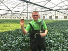 Superfood ‘kale’ now grown in UAE without soil