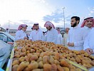 «غرفة البكيرية» تستعد لانطلاق مهرجان تمور البكيرية التاسع.. الأثنين