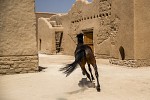 مهرجان الدرعية للفروسية يمهد طريق الفرسان لأولمبياد طوكيو 2020