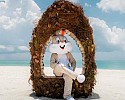    احتفل بعيد الفصح الصديق للبيئة في شعاب SUN SIYAM VILU REEF في جزر