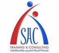 صناعة الحياة للتدريب والإستشارات
