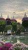  Flower routes in the UAE for travel